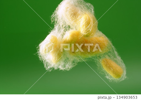 yellow silkworm cocoon over green 134903653