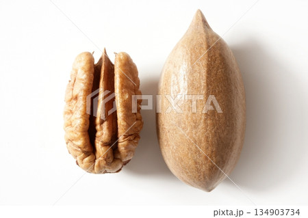 Pecan nut fruit and shell over white 134903734