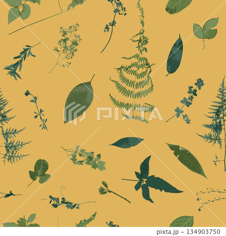 Seamless pattern with dry herbs and leaves on yellow background 134903750