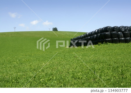 Black plastic wrap cover for cereal bales Black plastic wrap cover for cereal bales 134903777