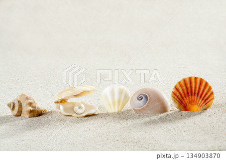 beach summer vacation background shell pearl clam beach summer vacation background shell pearl clam 134903870
