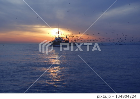 professional fishing boat seagull on sunset sunrise professional fishing boat seagull on sunset sunrise 134904224