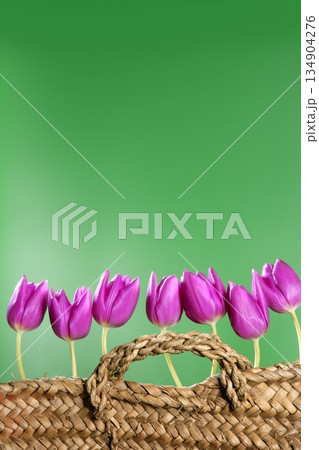 basket pink tulips flowers in a row group line 134904276