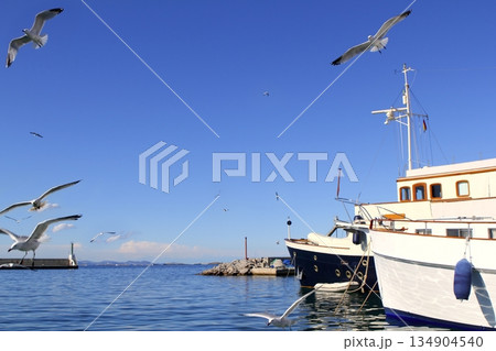 flying seagulls on Formentera port summer 134904540