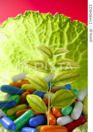 growing inside a cabbage leaf growing inside a cabbage leaf 134904625