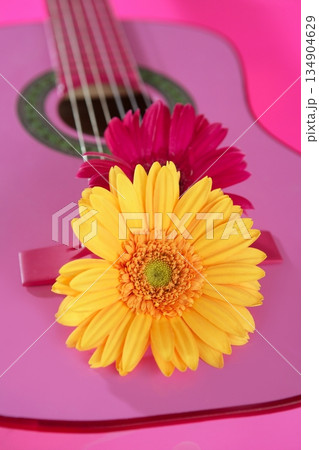 Hippie flower yellow pink gerbera on guitar 134904629