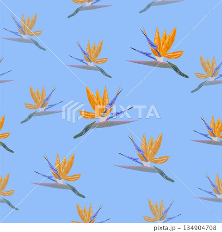Orange Strelitzia flower pattern design with leaves and stem. Hawaiian beach vacation 134904708