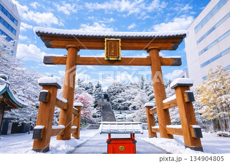 大鳥居と二荒山神社　ふたあらやまじんじゃ　雪景色 134904805
