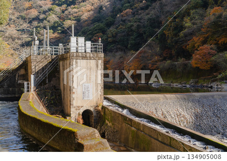 愛岐トンネル群 秋の特別公開 134905008