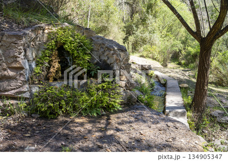 natural water fountain with moss and lichens in a mountainous setting 134905347