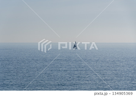 sailboat with the sea calm and the horizon in the background sailboat with the sea calm and the horizon in the background 134905369