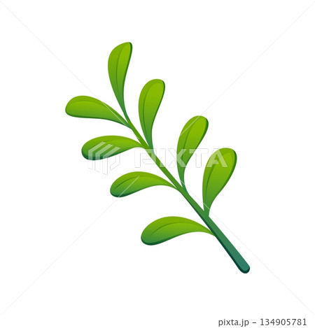 Merry Christmas mistletoe twig cartoon decoration or object. Happy New Year festive object, winter holiday mistletoe twig, isolated vector floral element. Merry Christmas plant decoration Merry Christmas mistletoe twig cartoon decoration or object. Happy New Year festive object, winter holiday mistletoe twig, isolated vector floral element. Merry Christmas plant decoration 134905781