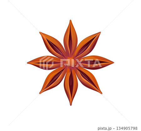 Merry Christmas star anise cartoon decoration or sticker. Merry Christmas celebration isolated vector element, Xmas holiday star anise. New Year holiday culinary, mulled wine seasoning decoration 134905798