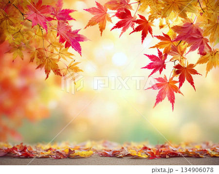 楓の葉が舞う秋色の背景に広がる紅葉風景 134906078
