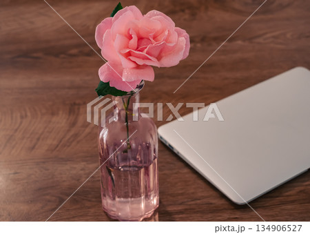 home office aesthetic: pink rose in glass vase decorating a wooden desk with technology 134906527