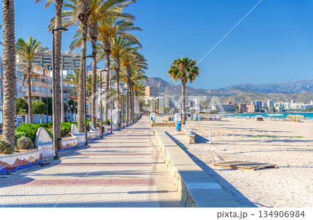 Playa de San Juan beach Costa Blanca coastline 134906984