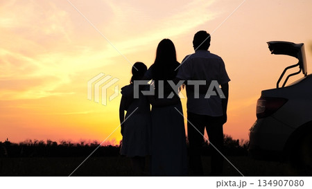Silhouette of happy families in nature. The girl and her parents are relaxing in the park for a walk. children's happiness. Parents hug the child. A girl, a daughter, with her parents on vacation. The 134907080