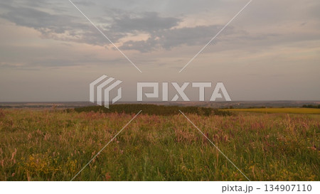 Summer field at sunset, scenic countryside landscape, wildflowers in the meadow, evening sky with clouds, peaceful rural view, tranquil nature background, green grass and distant horizon, soft pastel 134907110