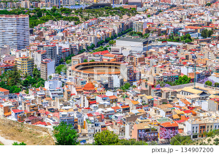 Aerial view of old town Alicante city historic centre with residential areas 134907200