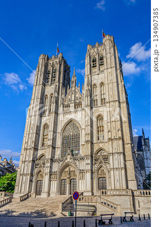 The Cathedral of St. Michael and St. Gudula medieval Roman Catholic cathedral 134907385