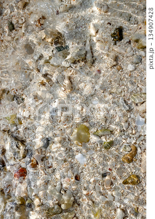 透明な水面に透けるサンゴの欠片_縦 134907428