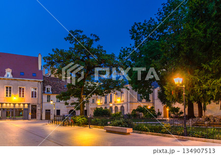 Dijon city historical centre 134907513