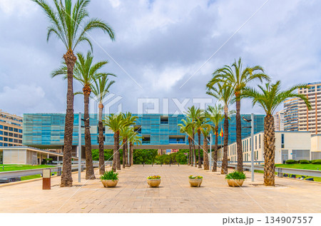 Ajuntament de Benidorm City Hall building on square, palms in L'Aiguera Parc Park in Old town Benidorm city historic centre in summer day, Benidorm Town Hall floorscraper, Valencian Community, Spain 134907557