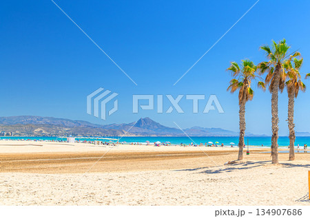 Playa San Juan beach in Alicante city 134907686
