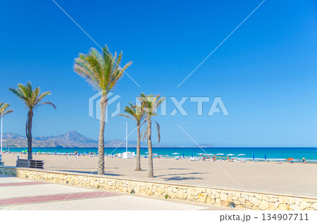 Playa San Juan beach in Alicante city 134907711