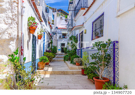 Alicante city historical centre Alicante city historical centre 134907720