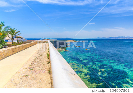 Tabarca Island Nueva Tabarca Isla Plana Tabarca Island Nueva Tabarca Isla Plana 134907801