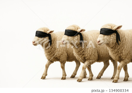 Sheep with black blindfolds. Space for text. 134908334