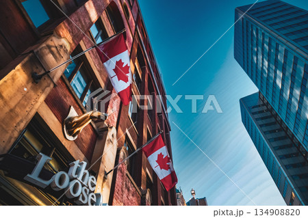 カナダ旗とビル群（トロント） 134908820