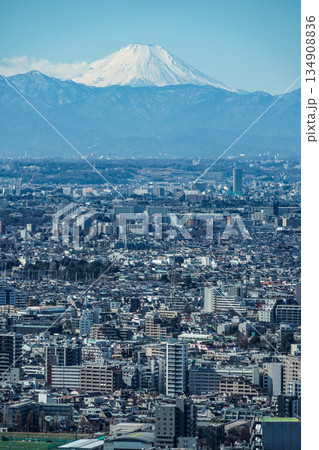 雪化粧の富士山遠望 雪化粧の富士山遠望 134908836