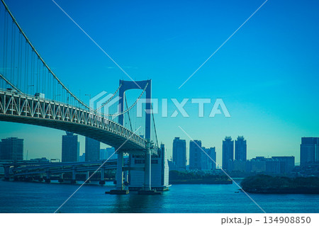 湾岸ビル群とレインボーブリッジ 134908850