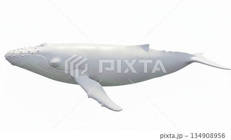 白いくじら 134908956