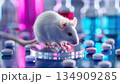A white rodent with a pink snout sitting on a tray of colorful pills 134909285