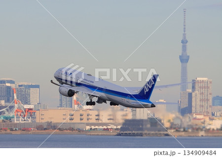 東京を背景に離陸、上昇する旅客機　東京スカイツリーを背景に離陸するANA機 134909484