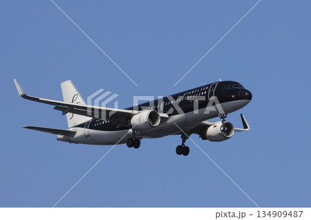 夏空を背景に着陸する旅客機　着陸進入するスターフライヤー機 134909487