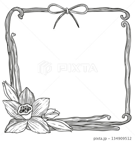 Hand-drawn blooming vanilla flowers and vanilla pods frame composition, graphic botanical detailed sketch on white background 134909512
