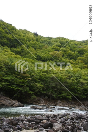 龍王峡、鬼怒川 134909698