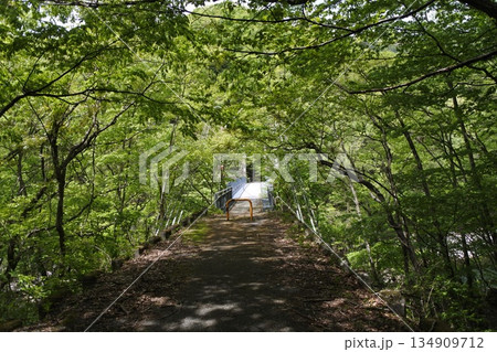 龍王峡、鬼怒川、散策路、道、路 龍王峡、鬼怒川、散策路、道、路 134909712