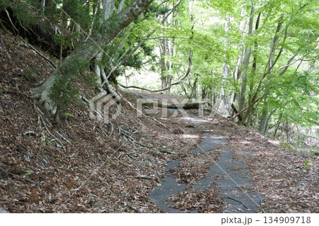 龍王峡、鬼怒川、散策路、道、路 龍王峡、鬼怒川、散策路、道、路 134909718