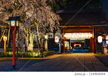 京都　春のライトアップされた平野神社と桜 134909844