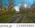 日差しに照らされた田舎道 134909860