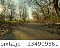 田舎道 134909861