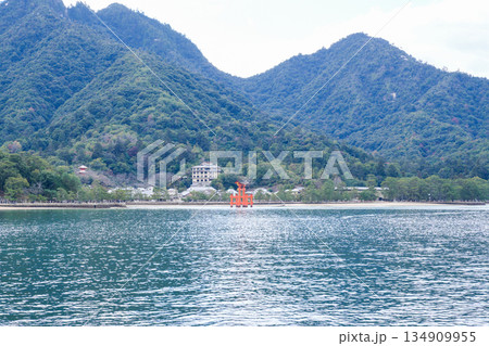 日本三景・世界遺産の島・宮島(広島県、2025年12月撮影) 日本三景・世界遺産の島・宮島(広島県、2025年12月撮影) 134909955
