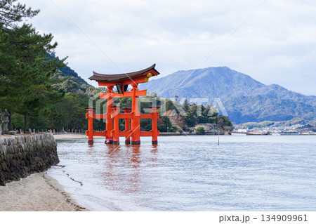 日本三景・世界遺産の島・宮島(広島県、2025年12月撮影) 日本三景・世界遺産の島・宮島(広島県、2025年12月撮影) 134909961
