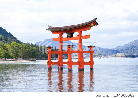 日本三景・世界遺産の島・宮島(広島県、2025年12月撮影) 日本三景・世界遺産の島・宮島(広島県、2025年12月撮影) 134909963