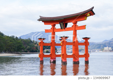 日本三景・世界遺産の島・宮島（広島県、2025年12月撮影） 134909967